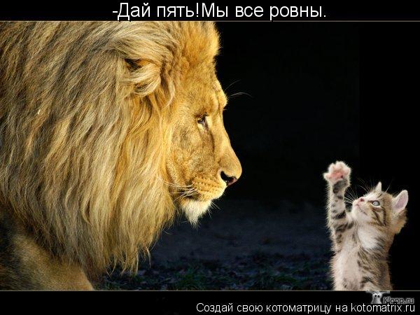 -Дай пять!Мы все ровны.... Котоматрица: -Дай пять!Мы все ровны.