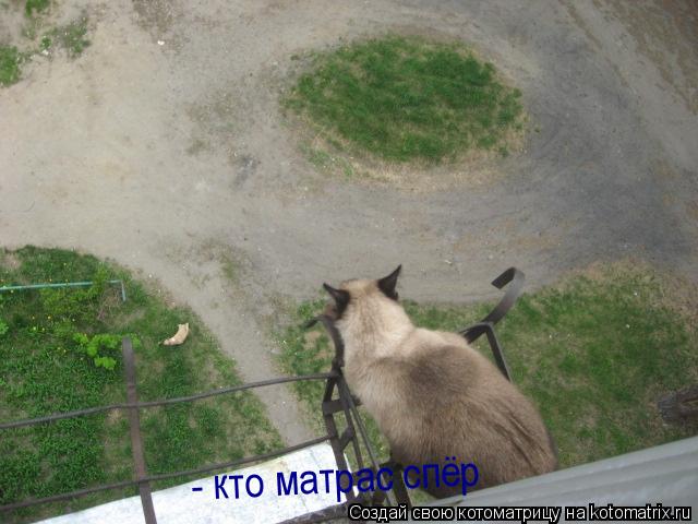 - кто матрас спёр... Котоматрица: - кто матрас спёр