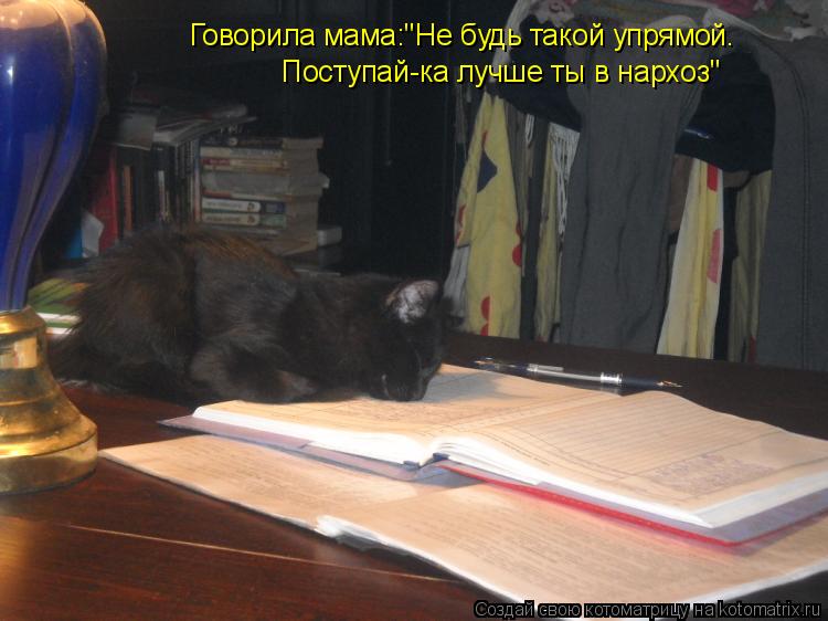 Говорила мама:"Не будь такой упрямой. Поступай-ка лучше ты в нархоз"... Котоматрица: Говорила мама:"Не будь такой упрямой. Поступай-ка лучше ты в нархоз"