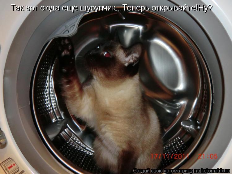 Так,вот сюда ещё шурупчик...Теперь открывайте!Ну?... Котоматрица: Так,вот сюда ещё шурупчик...Теперь открывайте!Ну?