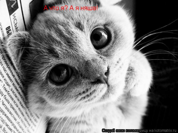 А что я? А я няша!... Котоматрица: А что я? А я няша!