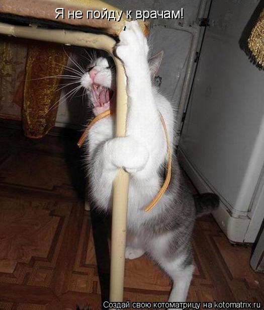 Я не пойду к врачам!... Котоматрица: Я не пойду к врачам!