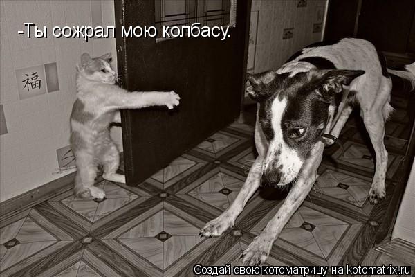 -Ты сожрал мою колбасу.... Котоматрица: -Ты сожрал мою колбасу.
