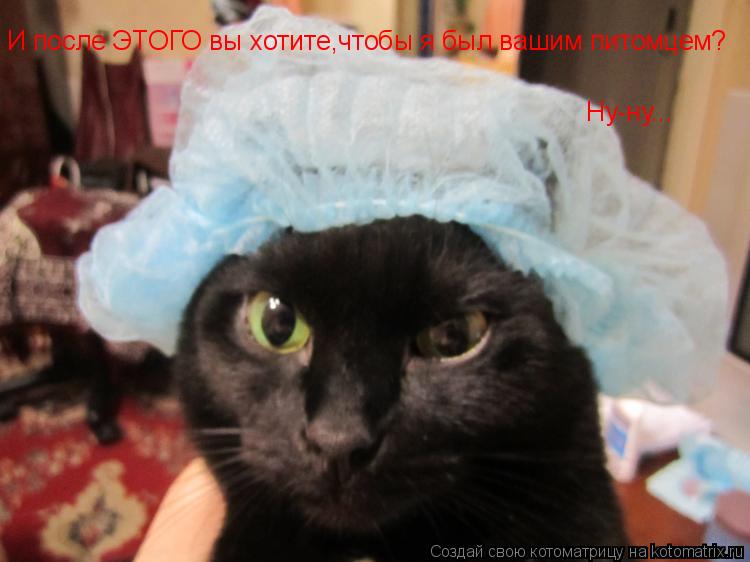 И после ЭТОГО вы хотите,чтобы я был вашим питомцем? Ну-ну...... Котоматрица: И после ЭТОГО вы хотите,чтобы я был вашим питомцем? Ну-ну...