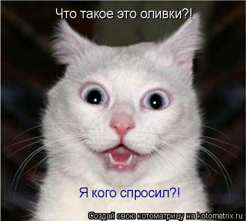 Что такое это оливки?! Я кого спросил?!... Котоматрица: Что такое это оливки?! Я кого спросил?!