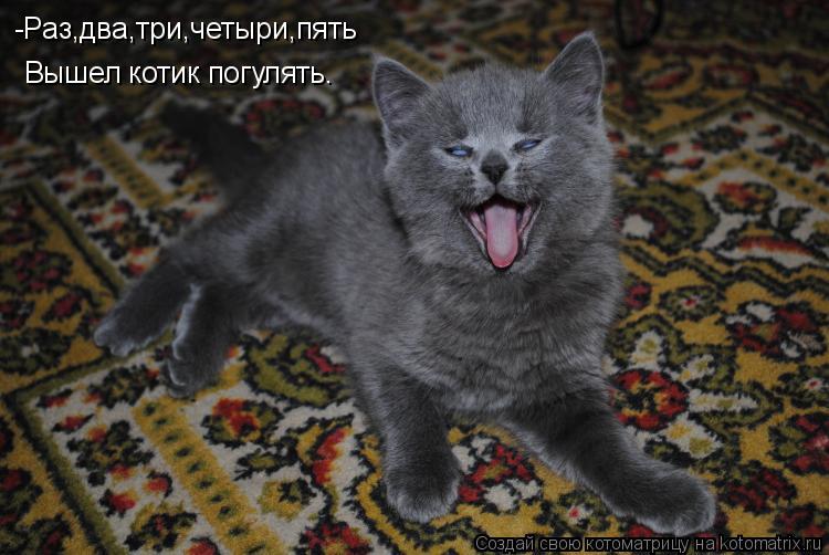 -Раз,два,три,четыри,пять Вышел котик погулять.... Котоматрица: -Раз,два,три,четыри,пять Вышел котик погулять.