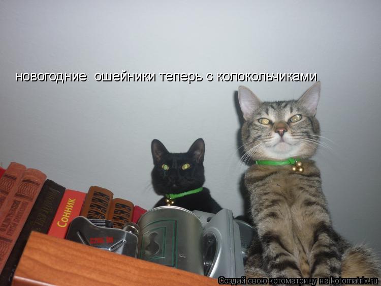 новогодние ошейники теперь с колокольчиками... Котоматрица: новогодние ошейники теперь с колокольчиками