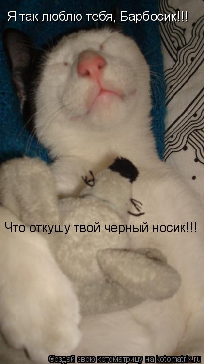 Я так люблю тебя, Барбосик!!! Что откушу твой черный носик!!!... Котоматрица: Я так люблю тебя, Барбосик!!! Что откушу твой черный носик!!!