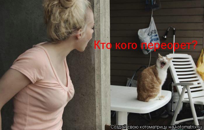 Кто кого переорет?... Котоматрица: Кто кого переорет?