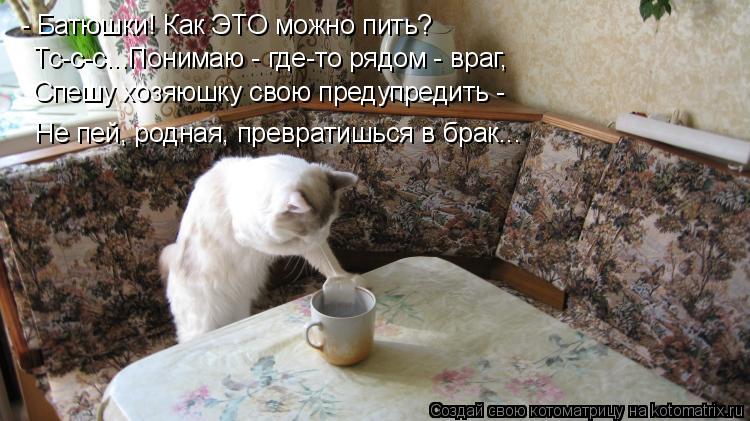 - Батюшки! Как ЭТО можно пить? Тс-с-с...Понимаю - где-то рядом - враг, Спешу хозяюшку свою предупреди... Котоматрица: - Батюшки! Как ЭТО можно пить? Тс-с-с...Понимаю - где-то рядом - враг, Спешу хозяюшку свою предупредить - Не пей, родная, превратишься в брак...