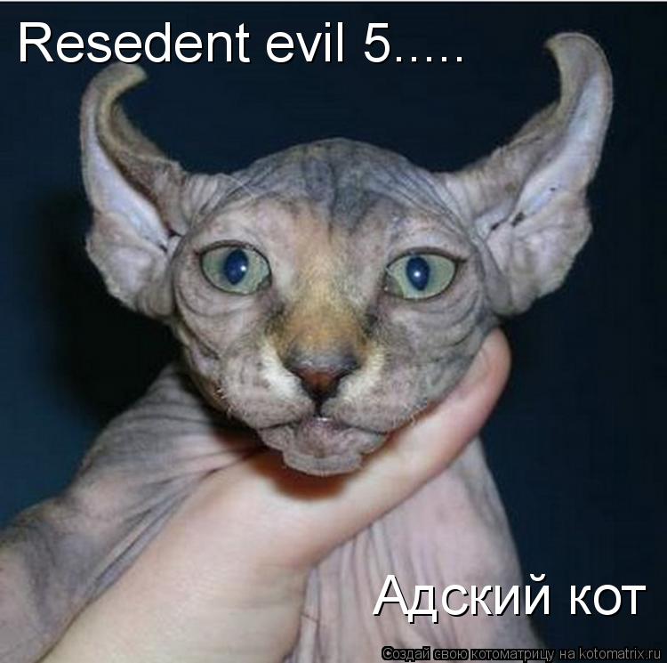 Resedent evil 5..... Адский кот... Котоматрица: Resedent evil 5..... Адский кот