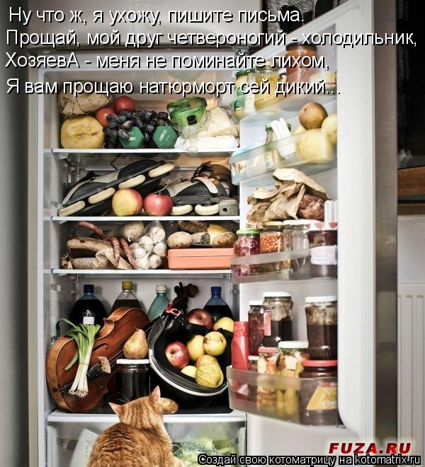 Ну что ж, я ухожу, пишите письма. Прощай, мой друг четвероногий - холодильник, ХозяевА - меня не поми... Котоматрица: Ну что ж, я ухожу, пишите письма. Прощай, мой друг четвероногий - холодильник, ХозяевА - меня не поминайте лихом, Я вам прощаю натюрморт сей ди