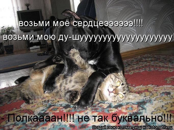 возьми моё сердцеээээээ!!!! возьми мою ду-шуууууууууууууууууууу!!!!!!! - Полкаааан!!!! не так букваль... Котоматрица: возьми моё сердцеээээээ!!!! возьми мою ду-шуууууууууууууууууууу!!!!!!! - Полкаааан!!!! не так буквально!!!