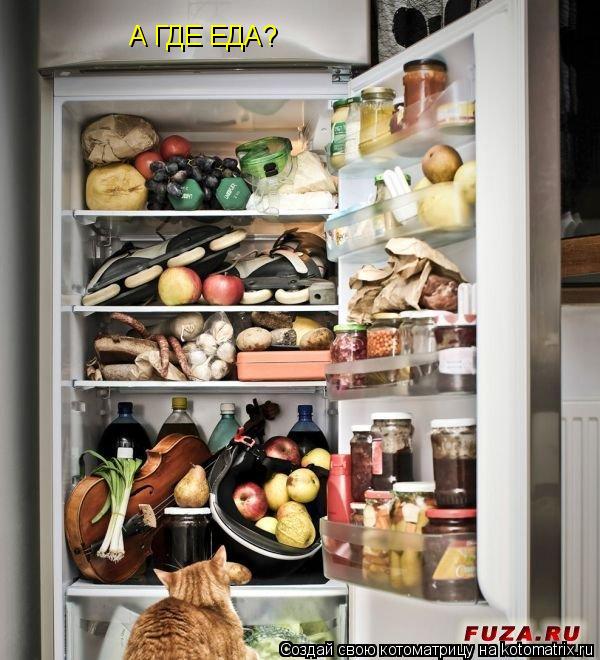 А ГДЕ ЕДА?... Котоматрица: А ГДЕ ЕДА?