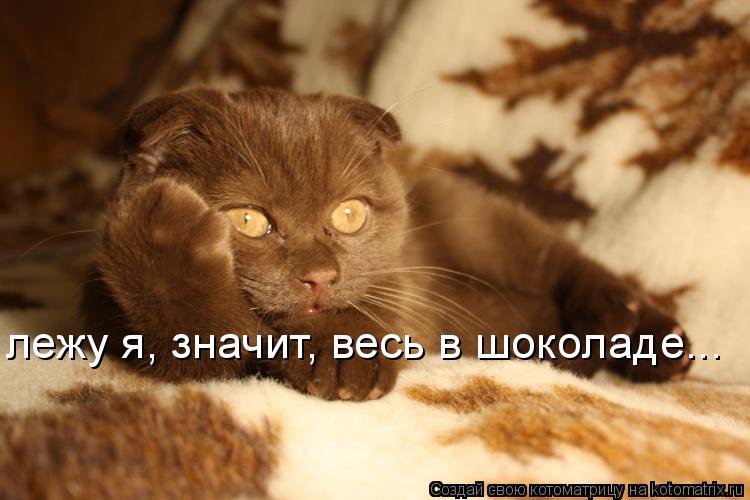 лежу я, значит, весь в шоколаде...... Котоматрица: лежу я, значит, весь в шоколаде...