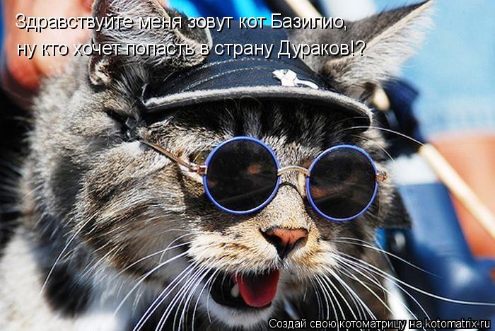 Здравствуйте меня зовут кот Базилио, ну кто хочет попасть в страну Дураков!?... Котоматрица: Здравствуйте меня зовут кот Базилио, ну кто хочет попасть в страну Дураков!?