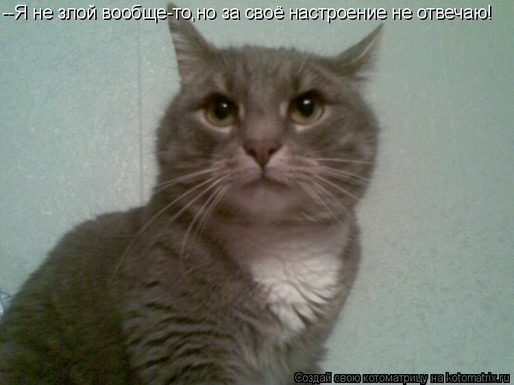 --Я не злой вообще-то,но за своё настроение не отвечаю!... Котоматрица: --Я не злой вообще-то,но за своё настроение не отвечаю!