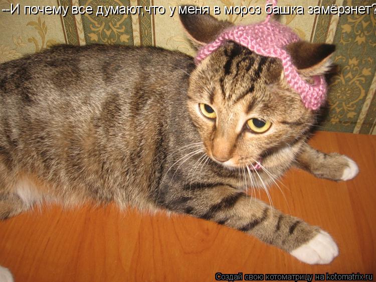 --И почему все думают,что у меня в мороз башка замёрзнет?... Котоматрица: --И почему все думают,что у меня в мороз башка замёрзнет?