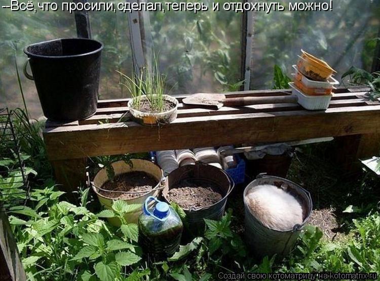 --Всё,что просили,сделал,теперь и отдохнуть можно!... Котоматрица: --Всё,что просили,сделал,теперь и отдохнуть можно!