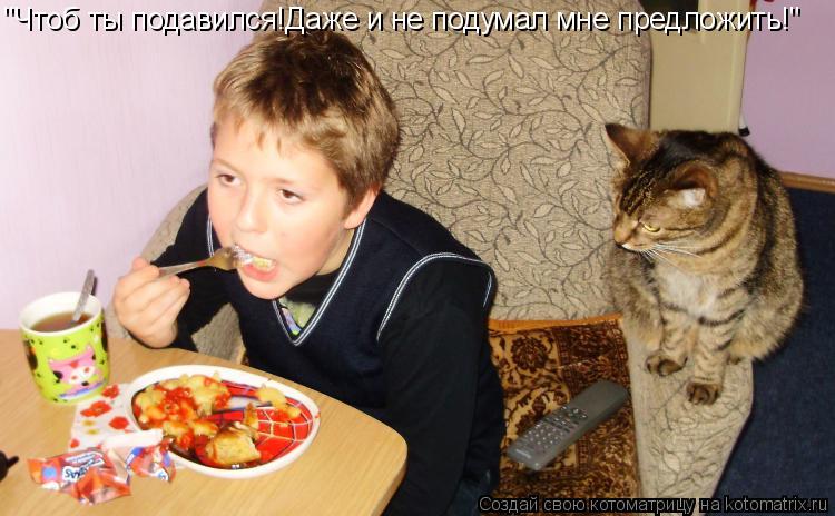 "Чтоб ты подавился!Даже и не подумал мне предложить!"... Котоматрица: "Чтоб ты подавился!Даже и не подумал мне предложить!"