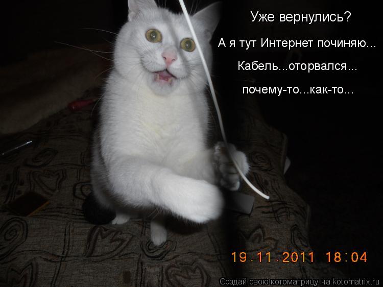Уже вернулись? А я тут Интернет починяю... Кабель...оторвался... почему-то...как-то...... Котоматрица: Уже вернулись? А я тут Интернет починяю... Кабель...оторвался... почему-то...как-то...