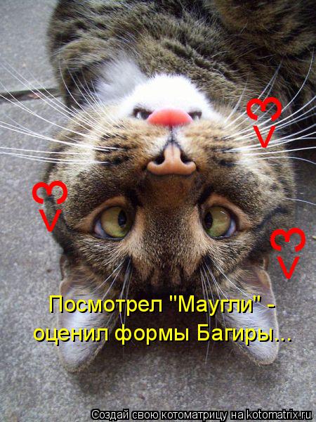 оценил формы Багиры... Посмотрел "Маугли" - <З <З <З... Котоматрица: оценил формы Багиры... Посмотрел "Маугли" - <З <З <З