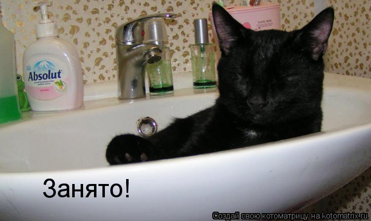 Занято!... Котоматрица: Занято!