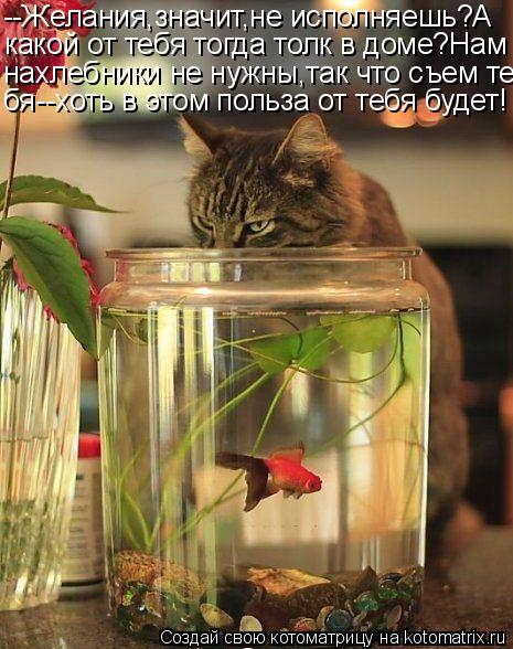 --Желания,значит,не исполняешь?А какой от тебя тогда толк в доме?Нам нахлебники не нужны,так что съем... Котоматрица: --Желания,значит,не исполняешь?А какой от тебя тогда толк в доме?Нам нахлебники не нужны,так что съем те- бя--хоть в этом польза от тебя будет!