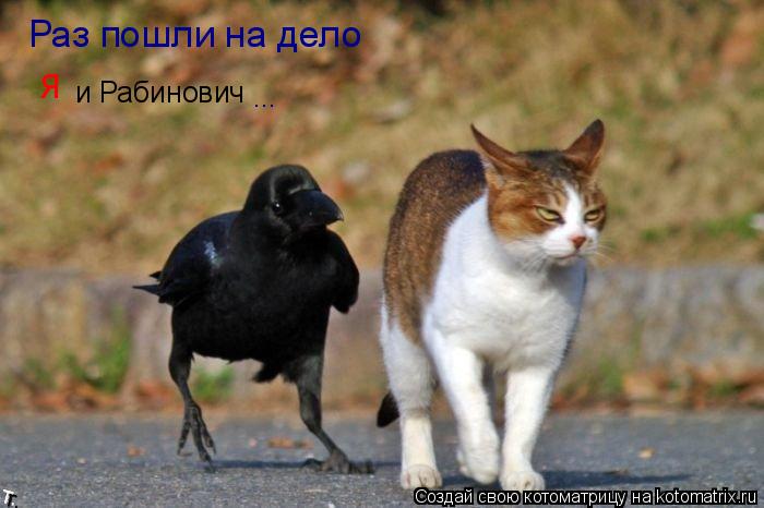 Раз пошли на дело и Рабинович ... Я... Котоматрица: Раз пошли на дело и Рабинович ... Я