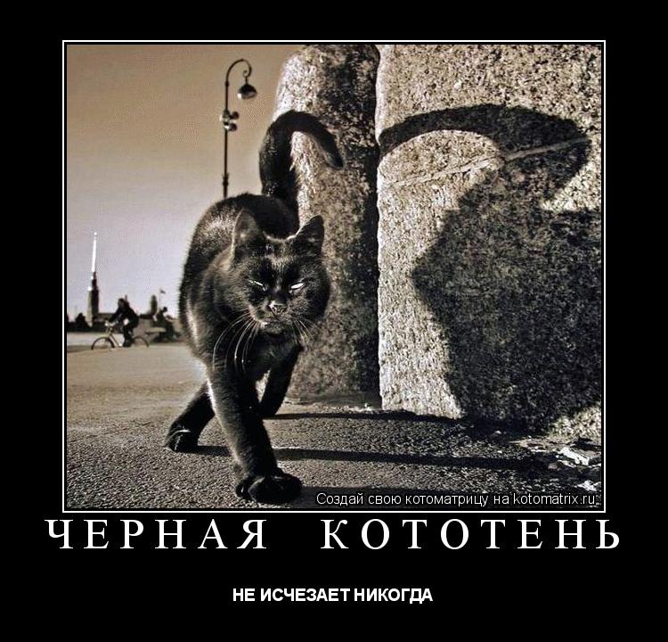 Котоматрица: ЧЁРНАЯ  КОТОТЕНЬ НЕ ИСЧЕЗАЕТ НИКОГДА