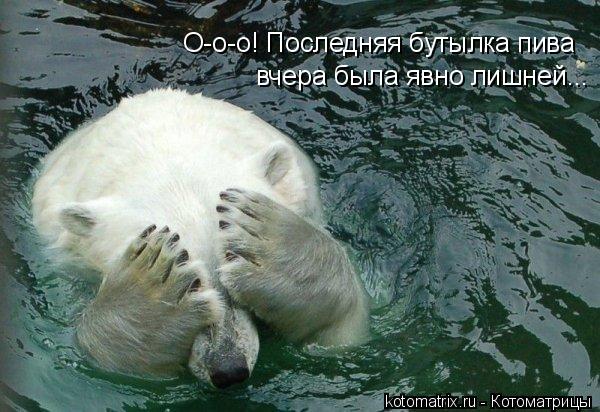О-о-о! Последняя бутылка пива вчера была явно лишней...... Котоматрица: О-о-о! Последняя бутылка пива вчера была явно лишней...