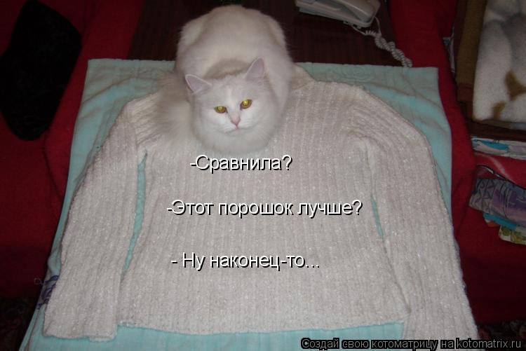 -Сравнила? -Этот порошок лучше? - Ну наконец-то... -Сравнила?... Котоматрица: -Сравнила? -Этот порошок лучше? - Ну наконец-то... -Сравнила?