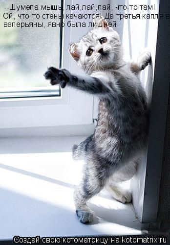 --Шумела мышь, лай,лай,лай, что-то там! Ой, что-то стены качаются! Да третья капля валерьяны, явно бы... Котоматрица: --Шумела мышь, лай,лай,лай, что-то там! Ой, что-то стены качаются! Да третья капля валерьяны, явно была лишней! валерьяны, явно была лишней!