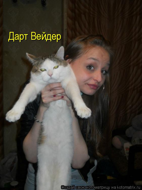 Дарт Вейдер... Котоматрица: Дарт Вейдер