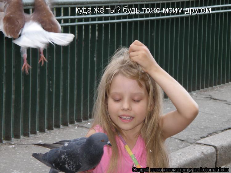 куда же ты? будь тоже моим другом... Котоматрица: куда же ты? будь тоже моим другом