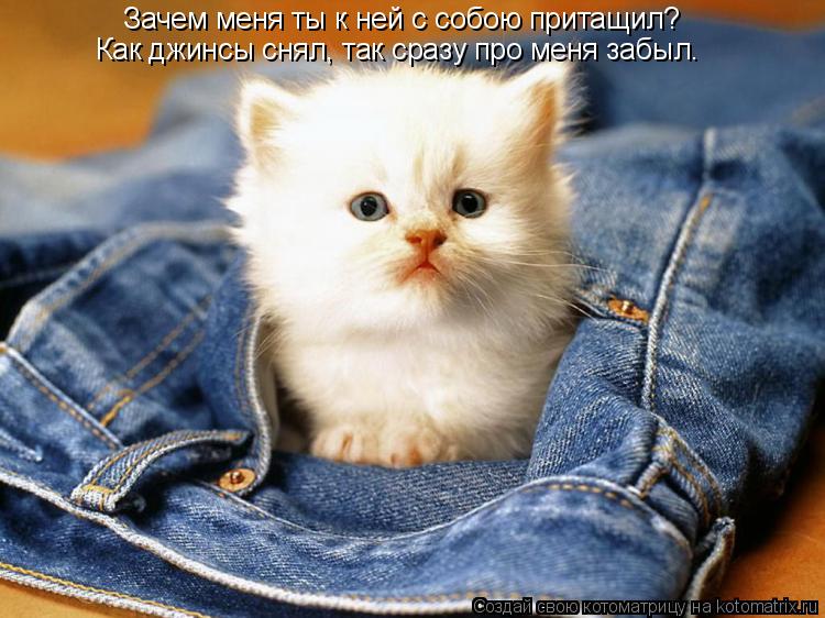 Зачем меня ты к ней с собою притащил? Как джинсы снял, так сразу про меня забыл.... Котоматрица: Зачем меня ты к ней с собою притащил? Как джинсы снял, так сразу про меня забыл.