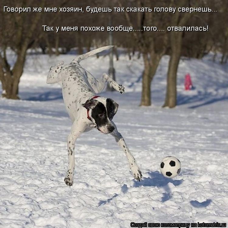 Говорил же мне хозяин, будешь так скакать голову свернешь... Так у меня похоже вообще.....того.... от... Котоматрица: Говорил же мне хозяин, будешь так скакать голову свернешь... Так у меня похоже вообще.....того.... отвалилась!