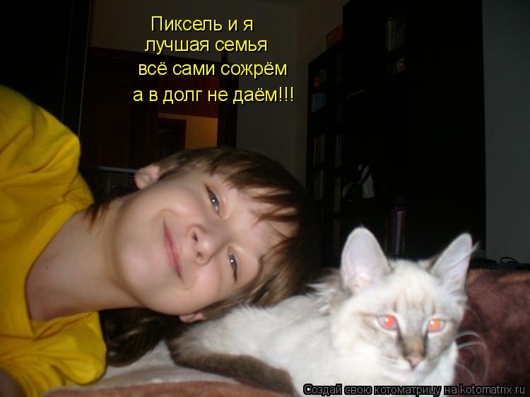 Пиксель и я лучшая семья всё сами сожрём а в долг не даём!!!... Котоматрица: Пиксель и я лучшая семья всё сами сожрём а в долг не даём!!!