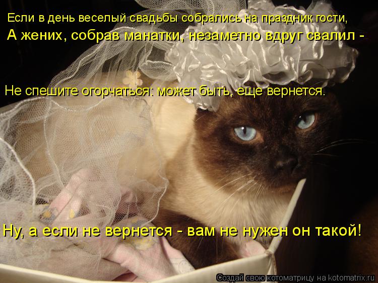 Не спешите огорчаться: может быть, еще вернется. Ну, а если не вернется - вам не нужен он такой! Если... Котоматрица: Не спешите огорчаться: может быть, еще вернется. Ну, а если не вернется - вам не нужен он такой! Если в день веселый свадьбы собрались на празд
