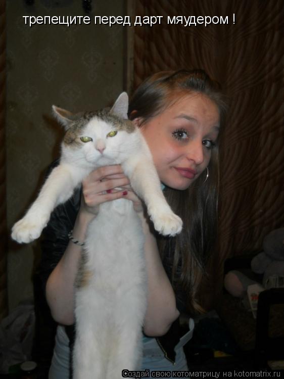 трепещите перед дарт мяудером !... Котоматрица: трепещите перед дарт мяудером !