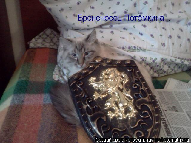 Броненосец Потёмкина...... Котоматрица: Броненосец Потёмкина...