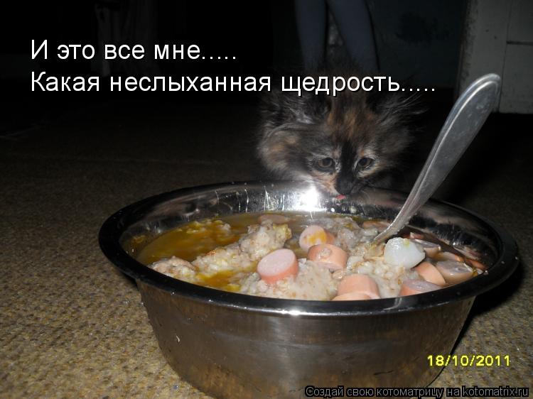 И это все мне..... Какая неслыханная щедрость........ Котоматрица: И это все мне..... Какая неслыханная щедрость.....