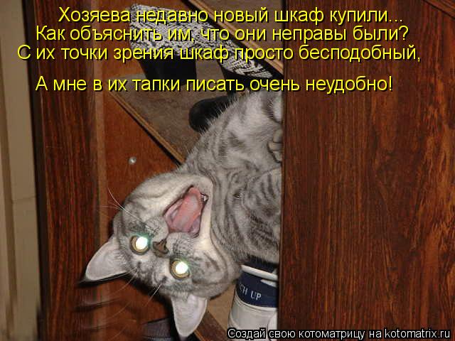 Котоматрица: Хозяева недавно новый шкаф купили... Как объяснить им, что они неправы были? С их точки зрения шкаф просто бесподобный, А мне в их тапки писат