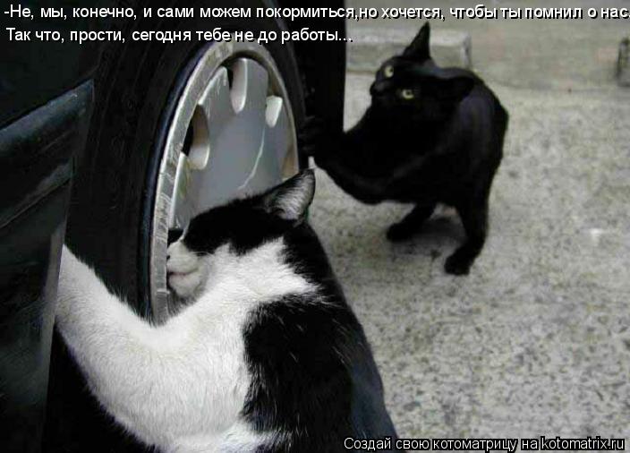 Котоматрица: -Не, мы, конечно, и сами можем покормиться,но хочется, чтобы ты помнил о нас.  Так что, прости, сегодня тебе не до работы...