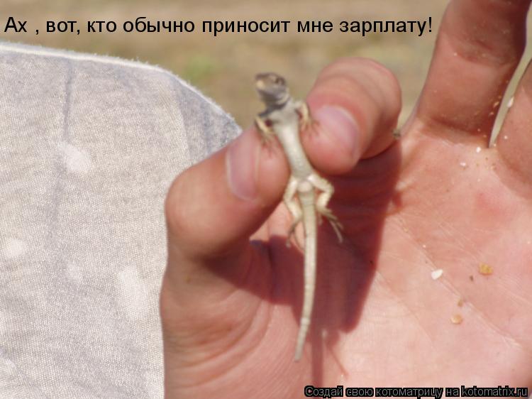 Котоматрица: Ах , вот, кто обычно приносит мне зарплату!