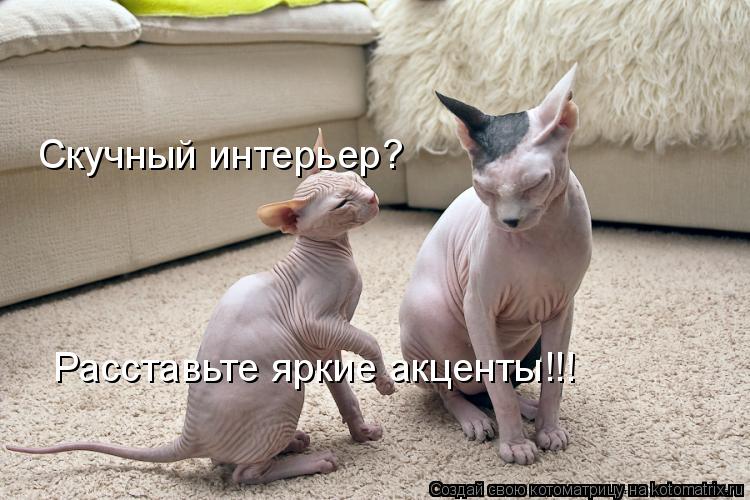 Котоматрица: Скучный интерьер? Расставьте яркие акценты!!!