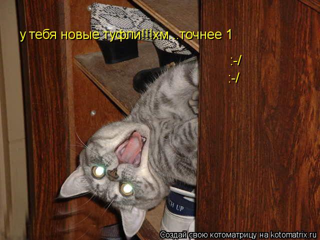 Котоматрица: у тебя новые туфли!!!хм...точнее 1 :-/ :-/