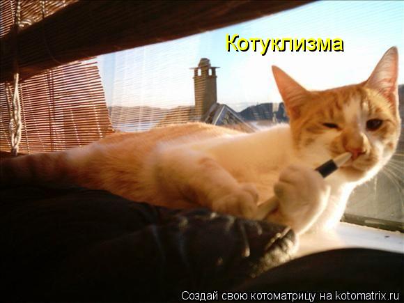 Котоматрица: Котуклизма