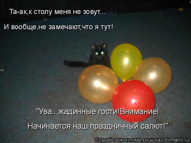 Котоматрица: Та-ак,к столу меня не зовут... И вообще,не замечают,что я тут! "Ува...жадинные гости!Внимание! Начинается наш праздничный салют!"