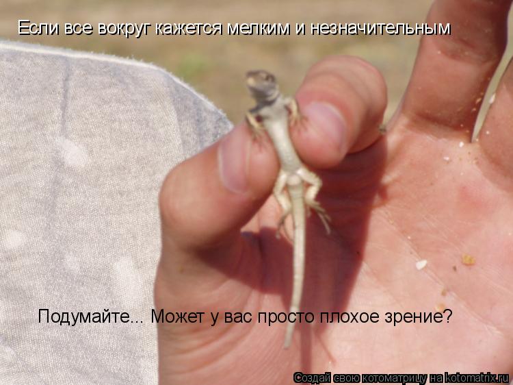 Котоматрица: Если все вокруг кажется мелким и незначительным Подумайте... Может у вас просто плохое зрение?